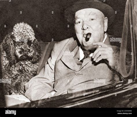 Dog Of Winston Churchill Fotos Und Bildmaterial In Hoher Auflösung