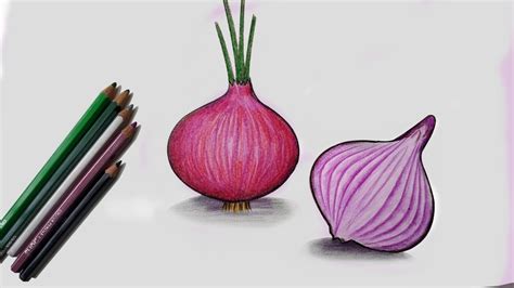 How To Draw Onion Step By Step Very Easy Youtube