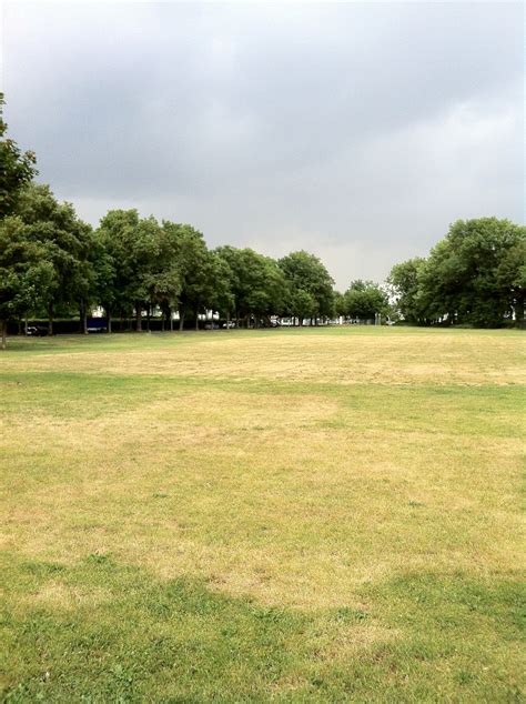 Free Images Tree Nature Structure Lawn Meadow Summer Dry