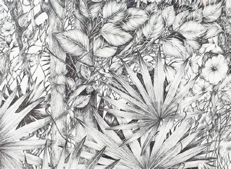 Jungle Pencil Drawing At Explore Collection Of