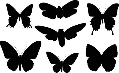 Butterfly Silhouette Vector — Stock Vector © Photos 2239797
