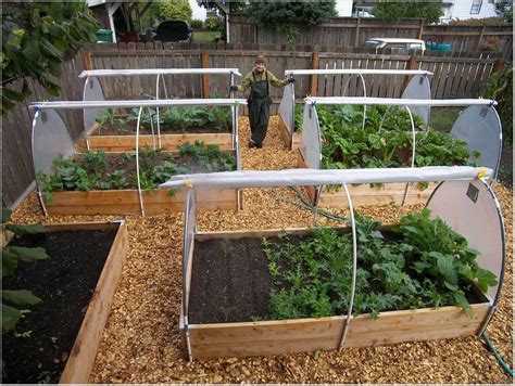 Astonishing Admirable Raised Bed Vegetable Garden Layout