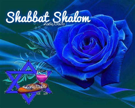 Shabbat Shalom Blue Roses Blue Rose Beautiful Roses