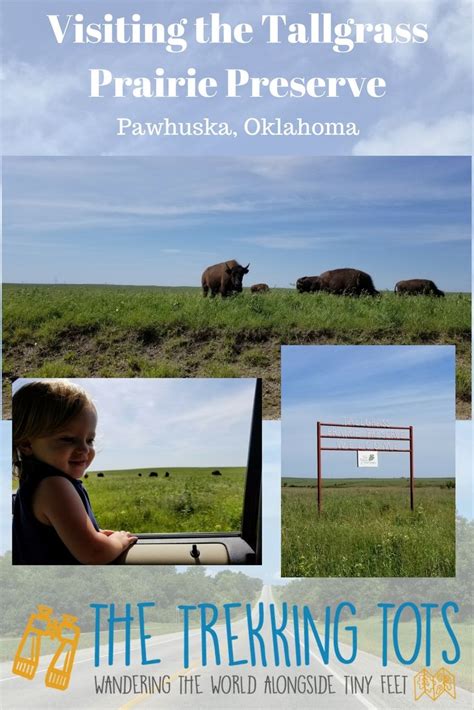 Tallgrass Prairie Preserve Oklahoma Tallgrass Prairie Pawhuska