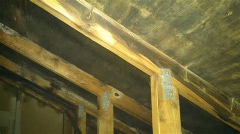 Mold Solutions By Cowleys Before And After Photo Set Roof Leak Causes Mold In Attic In Metuchen Nj