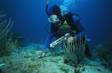 Restoring A Reef A Biologist From The Florida Keys
