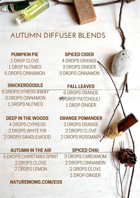 Essential Oils Blends Perfect For Fall Nature Moms Essential Oil