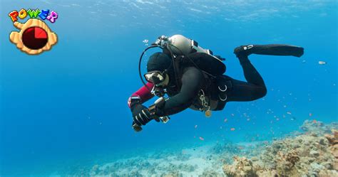 Scuba Diver Runs Out Of Air And Dies After Ignoring Music Getting Faster