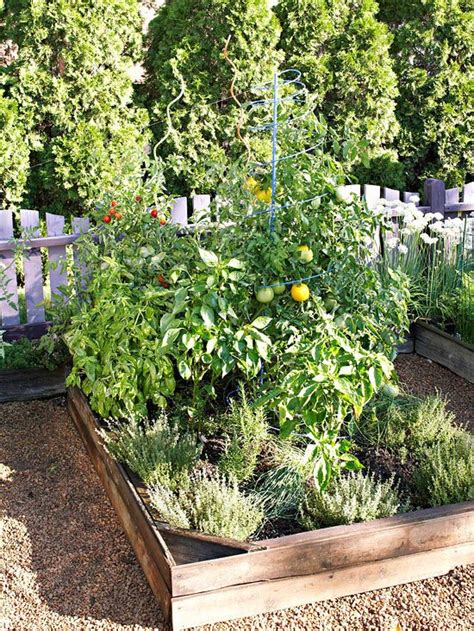 What To Grow A Pizza Garden Especially For Children