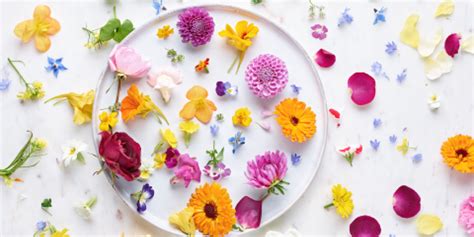 Add edible flowers to your next meal for a splash of color and unique flavors. Maddocks Farm Organics | Buy Edible Flowers Online