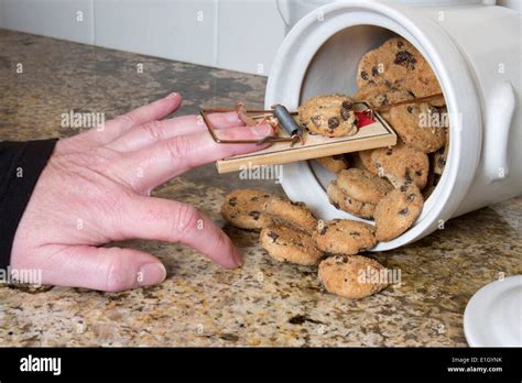 Hand Stuck In A Mousetrap After Being Pranked In The Cookie Jar Stock