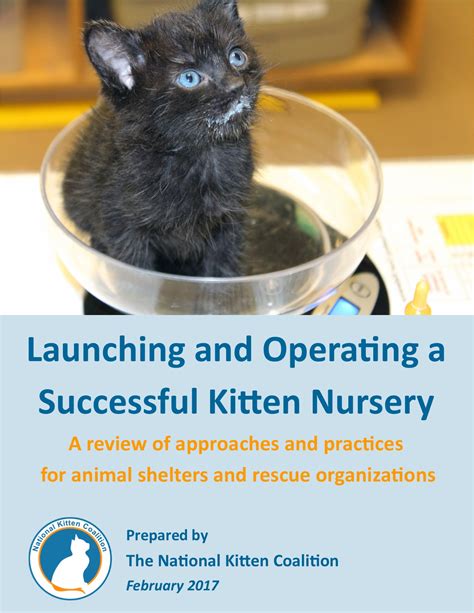 Kitten Nursery Manual National Kitten Coalition