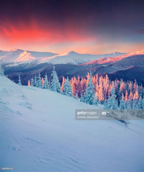The Sun Is Setting Over Snowy Mountains And Trees