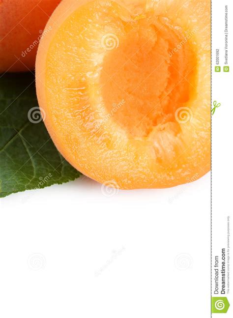 Fresh Apricot With A Leaf Stock Photo Image Of Background 62001692