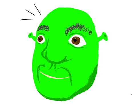 Derpy Shrek Head Drawception