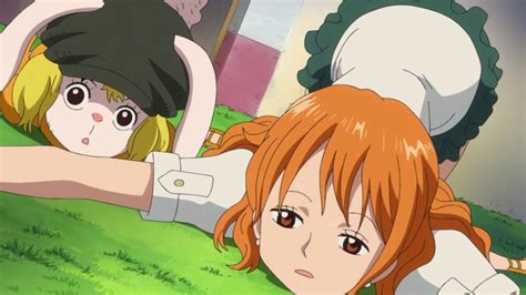 Nami And Carrot One Piece Anime Episode 780 One Piece Anime Episodes