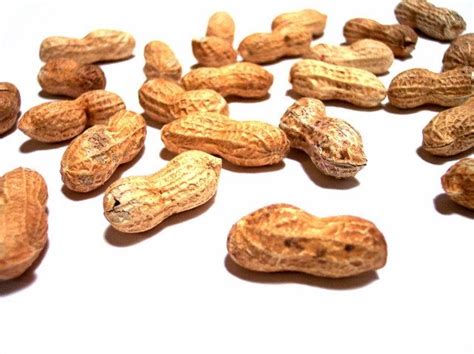 Interesting Facts About Peanut
