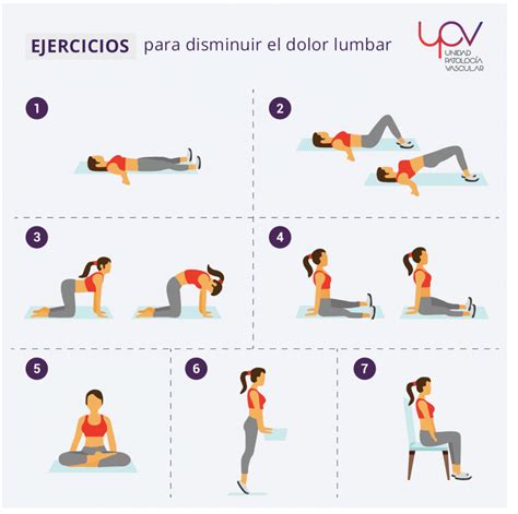 Ejercicios Para Mejorar El Dolor Lumbar Unidad De Patolog A Vascular