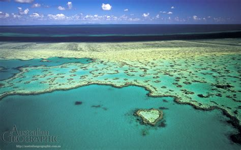 Heart Reef Great Barrier Reef Qld Australian Geographic