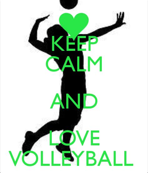Loving Volleyball
