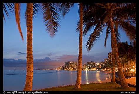 Picturephoto Palm Trees And Waikiki Beach At Dusk Waikiki Honolulu