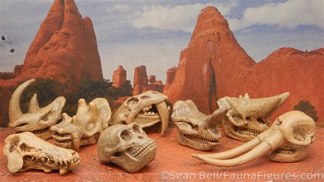 Vault Tales 248 Run The Set Safari Ltd Prehistoric Mammal Skulls Toob