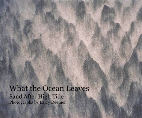 What The Ocean Leaves By Larry Deemer Blurb Books Uk