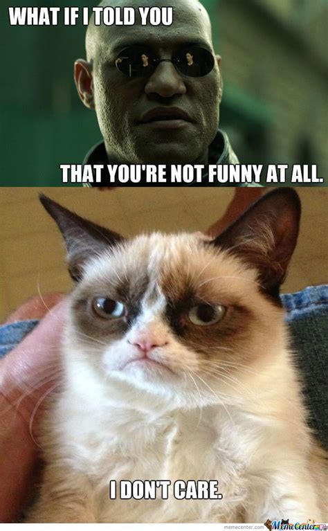 Leafy, if you by any chance see this and want to contact me, please dm me on twitter. Grumpy Cat Don't Care. by ear7h - Meme Center