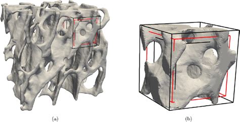 3d Trabecular Bone With Zoom A Micro Ct Image 3d Reconstruction B