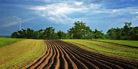 Strategies For Successfully Leasing Your Farmland Landthink
