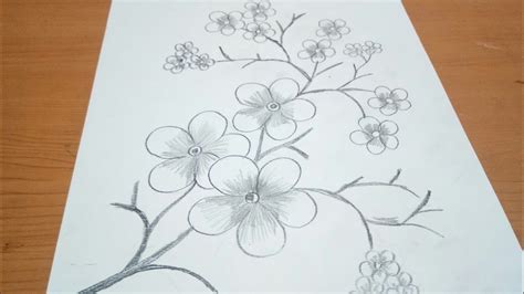 24 Gambar Sketsa Bunga Yang Mudah Galeri Bunga Hd