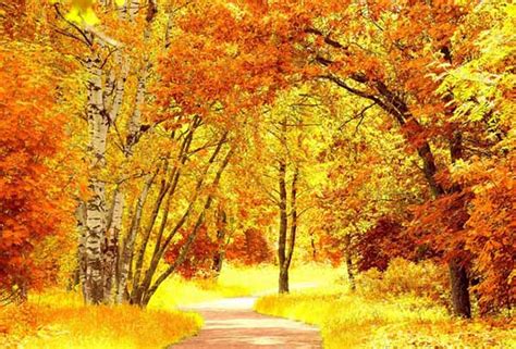 Картинки осень природа красивые фото осени природа