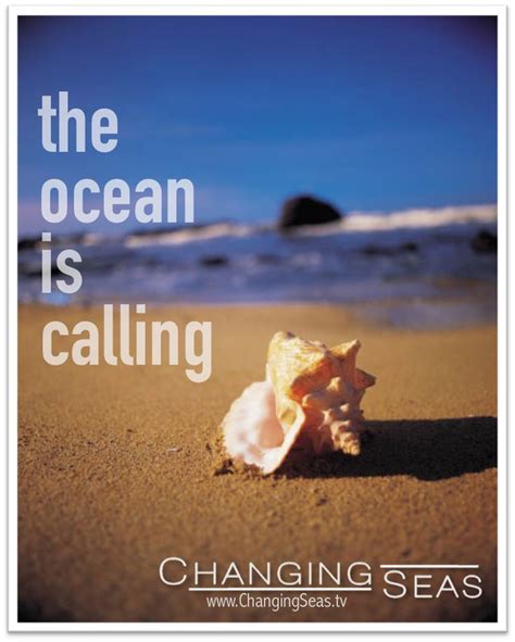 The Ocean Is Calling Can You Hear It Ocean Sea Shells Beach