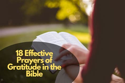 18 Effective Prayers Of Gratitude In The Bible