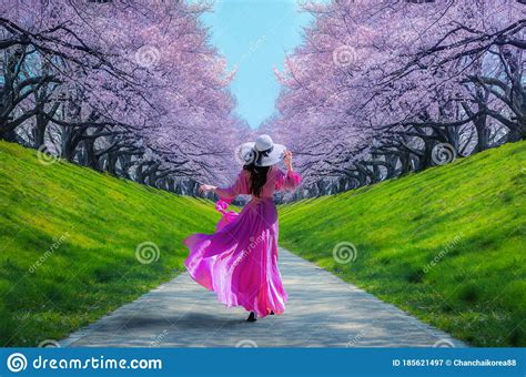 Asian Women Look At Cherry Blossoms In A Park A Romantic Walkway With