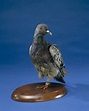 Cher Ami | National Museum of American History