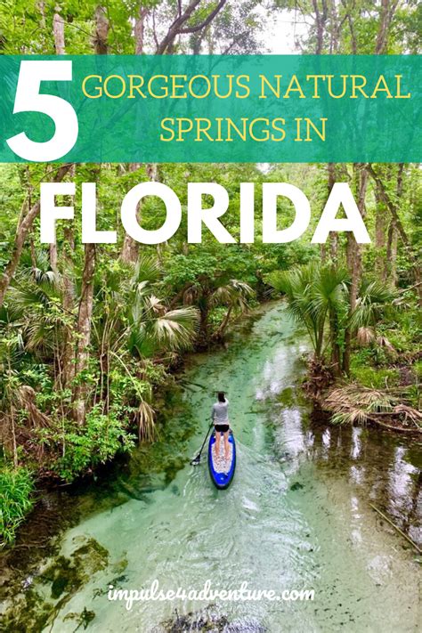 The 5 Best Natural Springs Near Orlando Florida Adventures Three