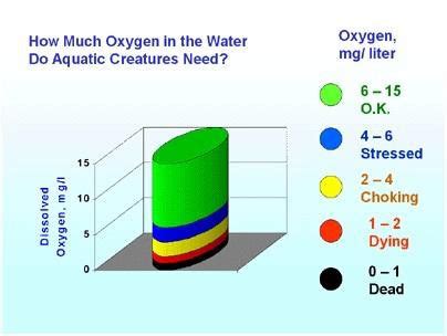 Measuring Dissolved Oxygen In Water By Azide Winkler Method