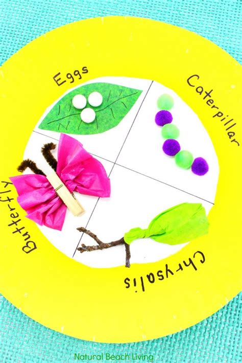 Easy Butterfly Life Cycle Craft Kids Love Paper Plate Craft Natural