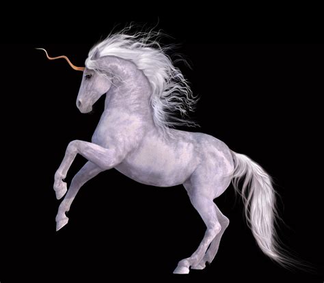 Unicorn Horse Magical Animal