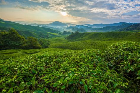Kuala lumpur is the biggest city in malaysia with a population of 7,200,000 people. 6 Reasons to Love Peninsular Malaysia's Biggest State ...