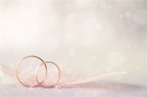 Two Golden Wedding Rings And Feather Light Soft Background Tlj Studios