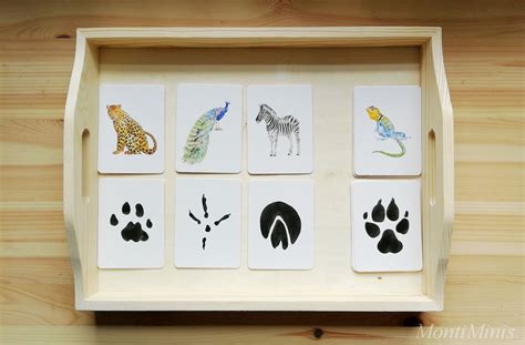 Tiere im winter heft im querformat: Wilden Tieren auf der Spur - Montessori Blog & Shop - MontiMinis