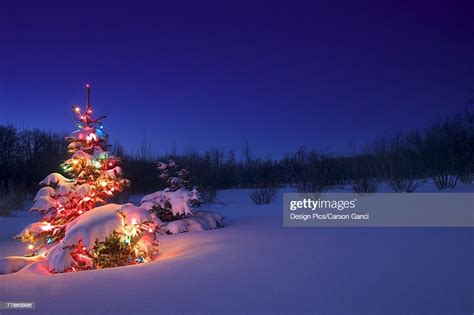 Christmas Tree Outdoors Glowing At Night Covered In Snow High Res Stock