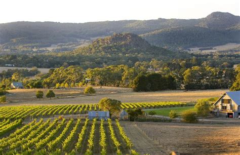 Macedon Ranges Wine Tours Book Today On 1300 Wine Tours