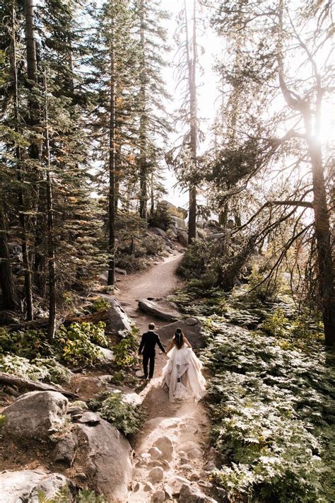 Intimate Wedding In Yosemite National Park Glacier Point Wedding Ceremony Wedding Portraits