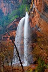 Emerald Pools Zion National Park Pictures