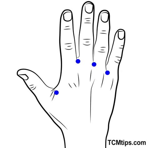 Best 6 Acupressure Points For Cold Hands And Feet Easy Tcm Wisdom