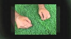 How to Install Synthetic Grass on Concrete - Deshe Kavua