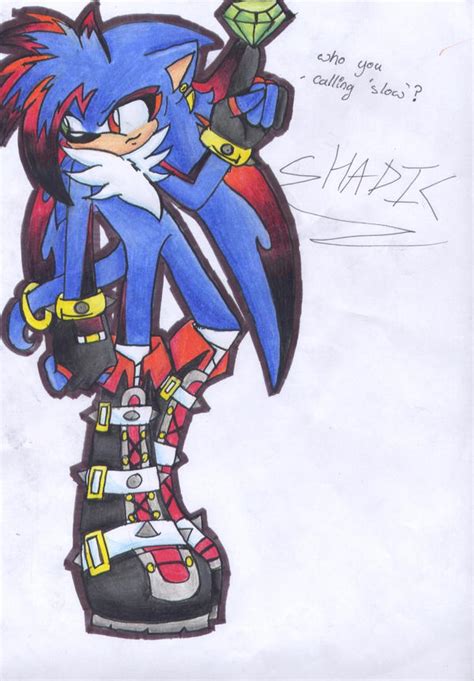 Shadic The Hedgehog By Littlekittyfox On Deviantart